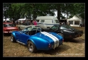 Cobra replica-4.png